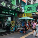 🇹🇭 泰国大麻旅游指南： 中国游客最实用的避坑攻略与玩法建议