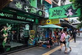 🇹🇭 泰国大麻旅游指南： 中国游客最实用的避坑攻略与玩法建议